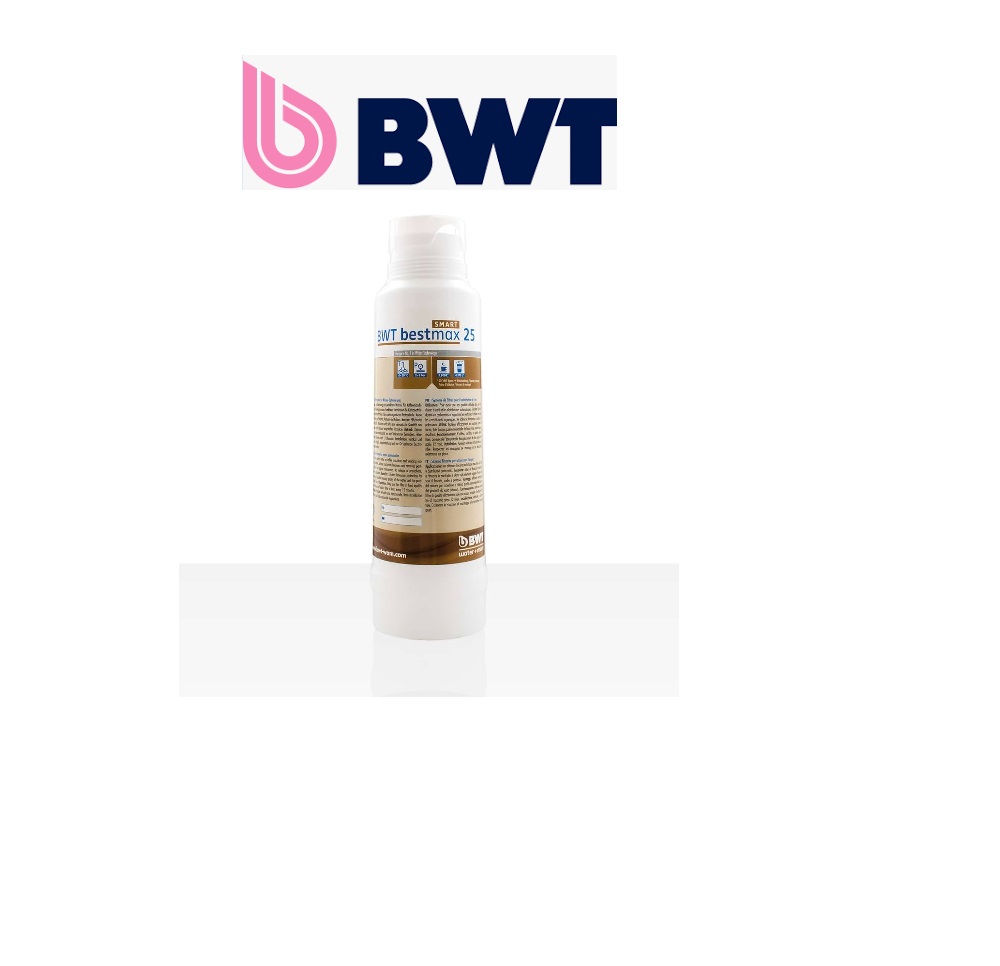 BWT Bestmax Smart 25